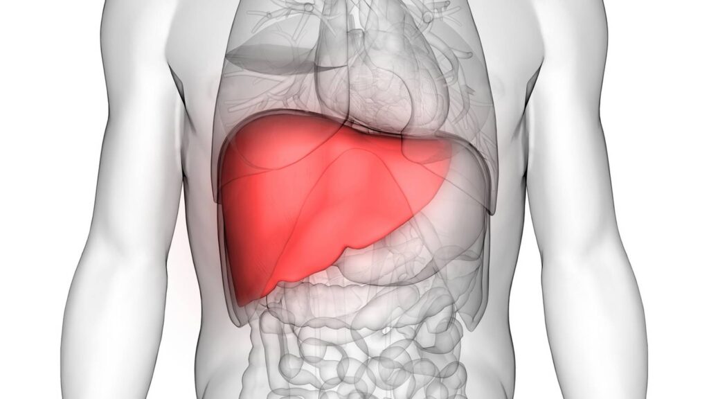 Liver Dotor in Faridabad giving 5 Tips for Keeping Your Liver Healthy 