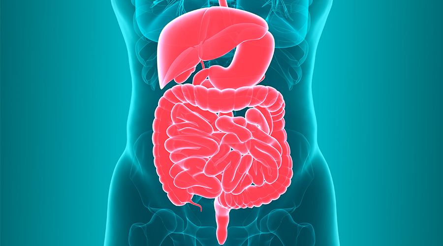 Optimize Your Digestive Health: Expert Tips for Maintaining a Healthy Gut Microbiome