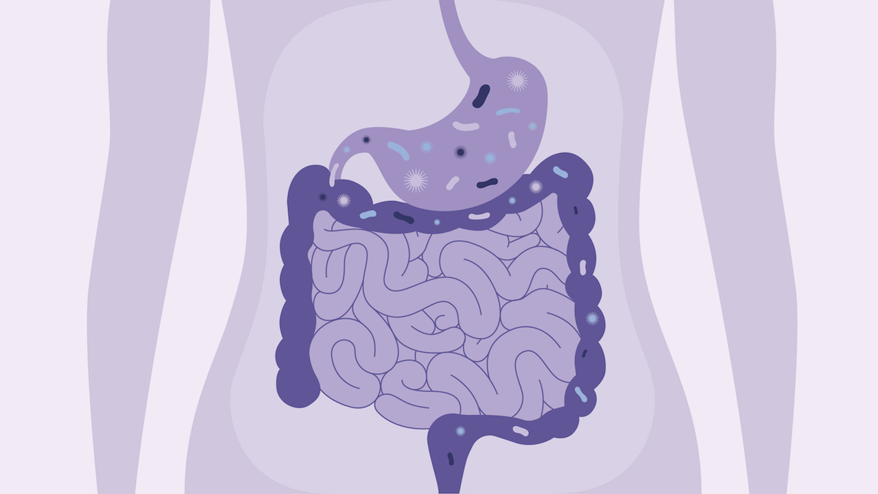 The Gut Health Guide: Identifying the Signs of an Unhealthy Gut