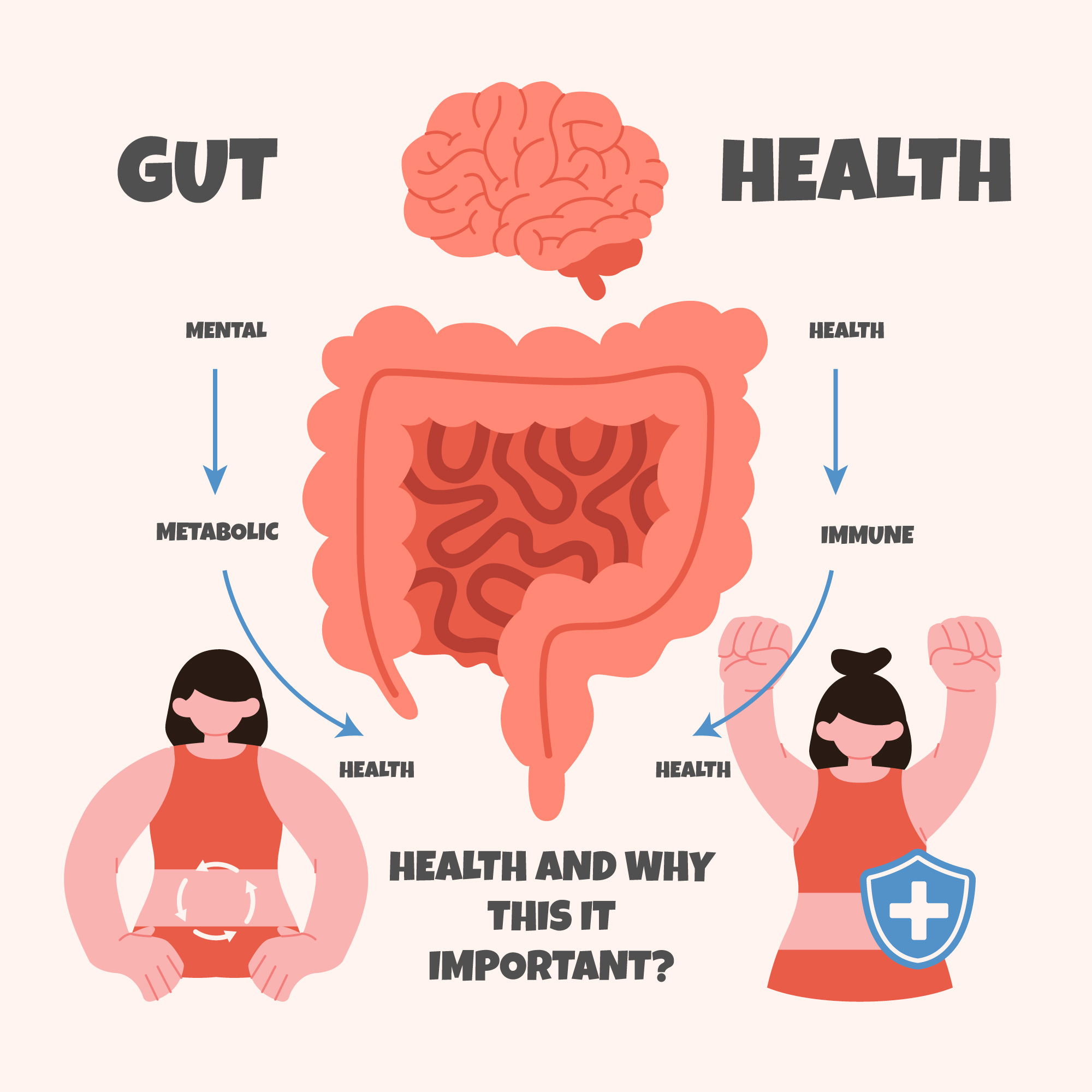 Impact of Gut Health on Overall Well-being