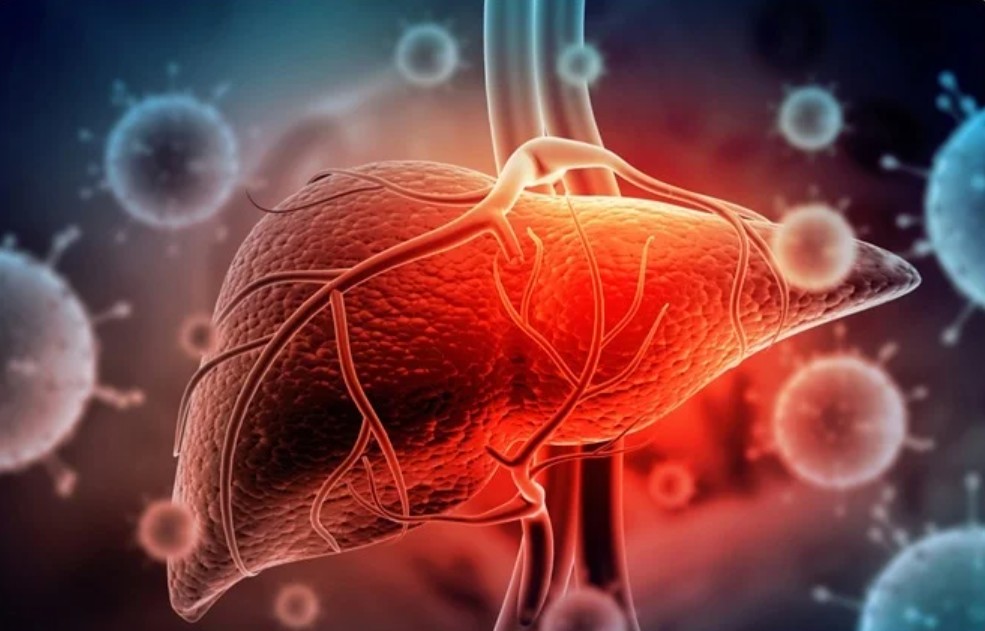 Hepatitis A & E: Know the Risks, Prevent the Infection!